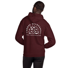 Load image into Gallery viewer, Choose Wilderness Unisex Hoodie - more colors